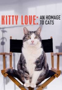 Kitty Love: Evviva i gatti!