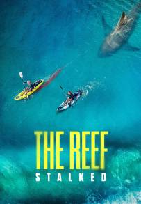 The Reef: intrappolate
